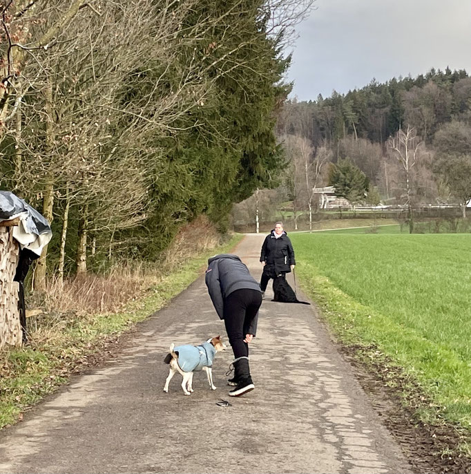 Lernspaziergänge © Hundeschule gooddog