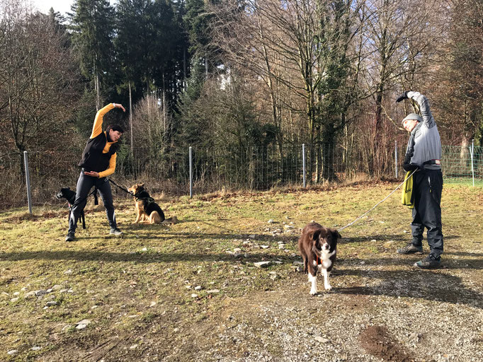 gooddog Bootcamp © Hundeschule gooddog 