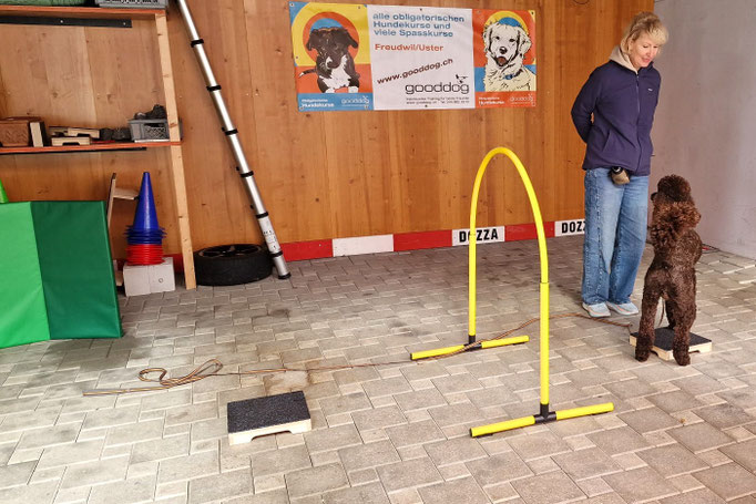 Fitness Loops © Hundeschule gooddog