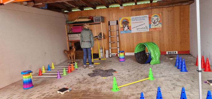 Fitness Loops © Hundeschule gooddog