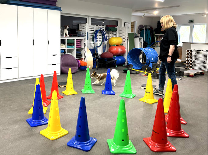 Fitness Loops © Hundeschule gooddog