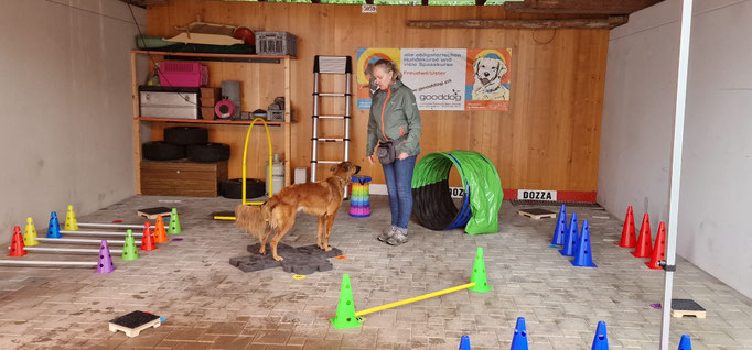 Fitness Loops © Hundeschule gooddog