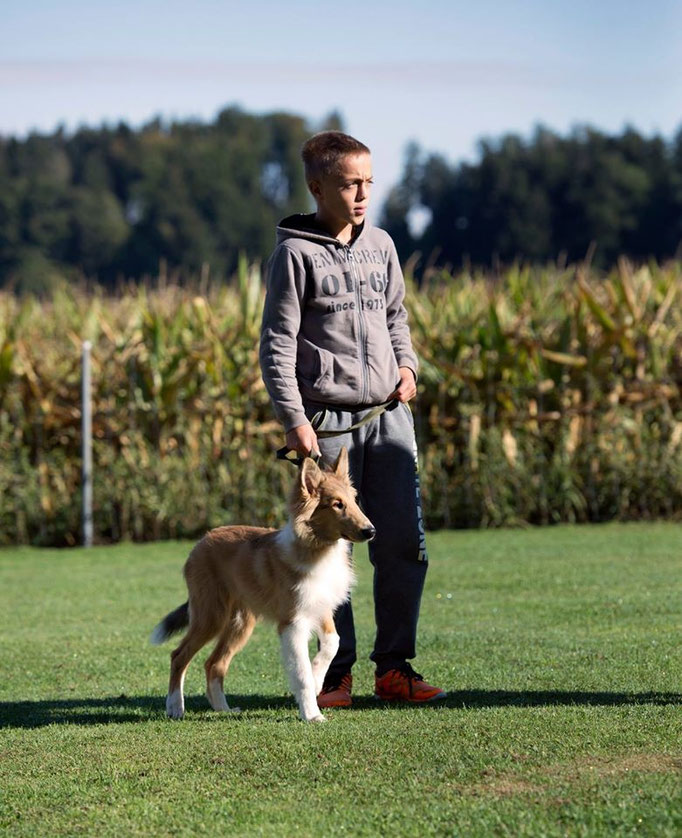 Erziehungskurs © Hundeschule gooddog