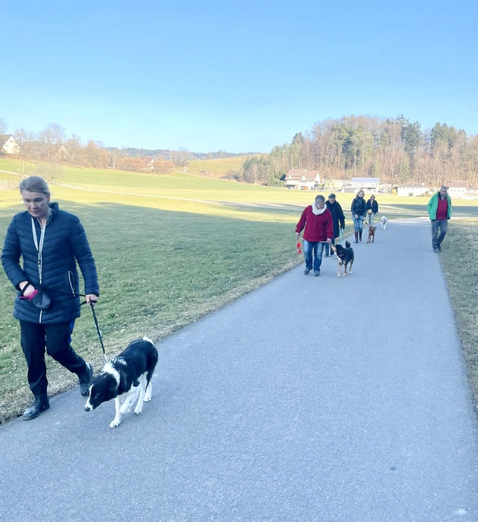 Lernspaziergänge © Hundeschule gooddog