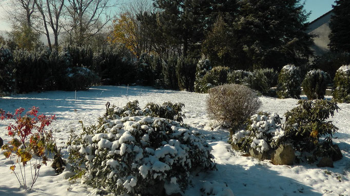 Der erste Schnee kam schon im Herbst das Foto vom Montag den 29.10.2012 nachts um -10°C