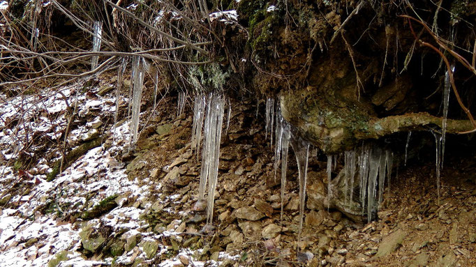 Am Wegesrand entdeckt zur Entenmühle vom Sonntag den 13.01.2013