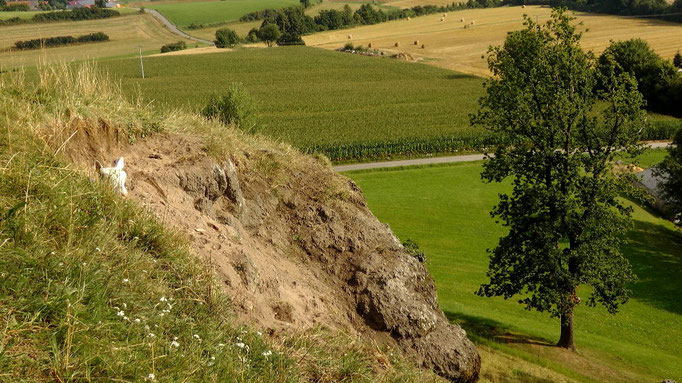 Bergziegen auf dem "Kleiner Kulm"