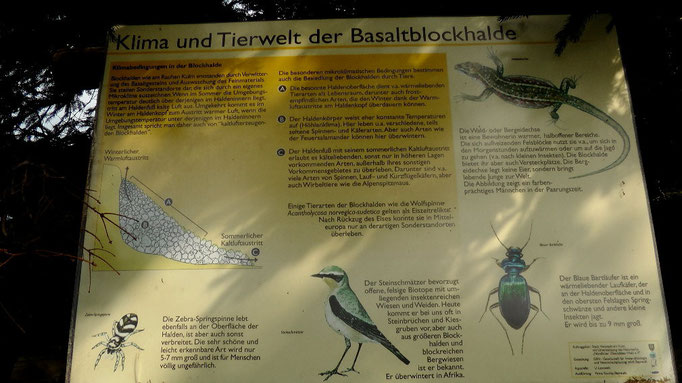 Tierwelt der Basaltblockhalde