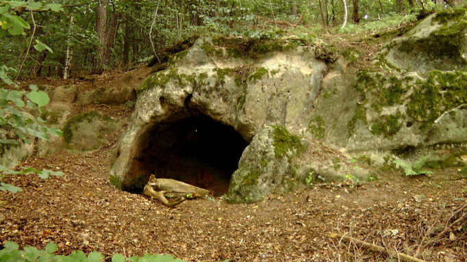 Eine ganze Menge Felsenkeller im Sandgestein