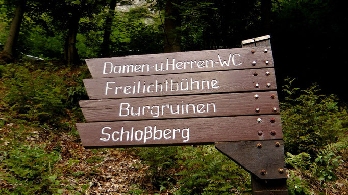 Wanderweg vom Kurpark hoch auf dem Schlossberg zu den Ruinen
