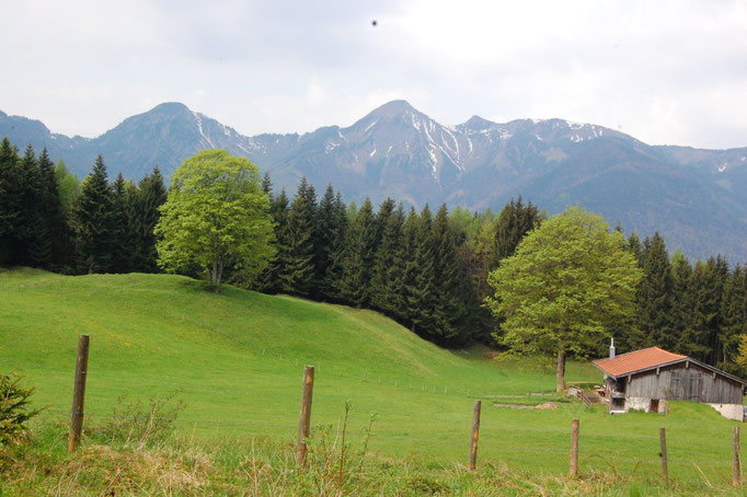 Auf der Haideralm