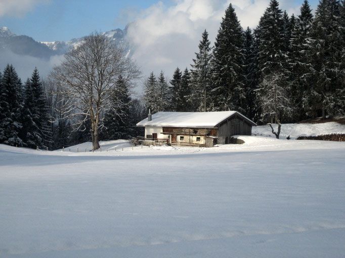 Unsere Alm