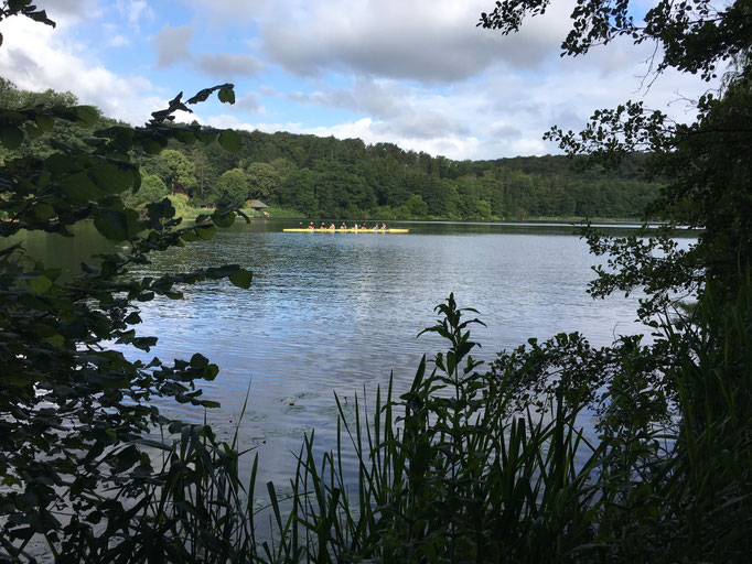 Ruderer aus dem Ratzeburger Küchensee