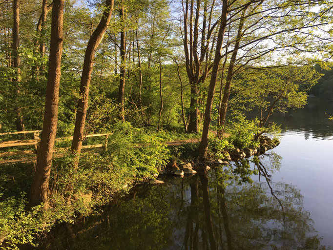 Einmündung Schaalseekanal