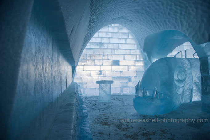 Ice Bar