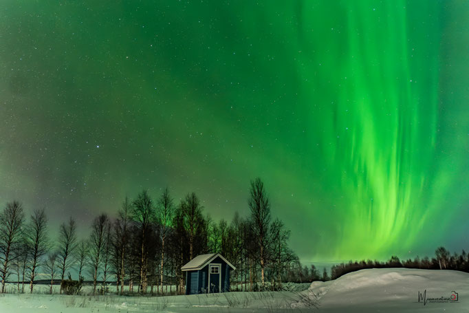 ROAD TRIP EN LAPONIE. Pourquoi partir en hiver? Itinéraire, budget infos & aventures.