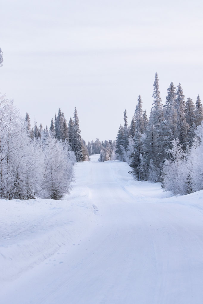 ROAD TRIP EN LAPONIE. Location et conduite en hiver?. Itinéraire, budget infos & aventures détaillées.