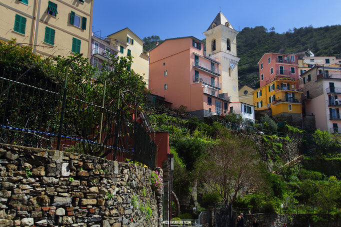 Manarola.