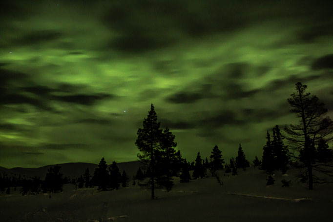 ROAD TRIP EN LAPONIE. Pourquoi partir en hiver? Itinéraire, budget infos & aventures.