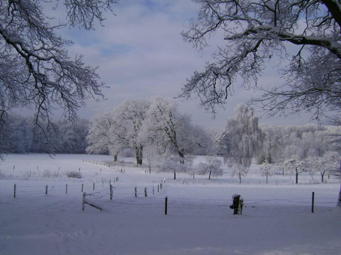 Duivendal