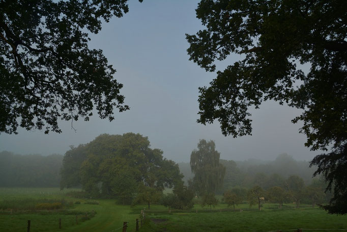 Duivendal