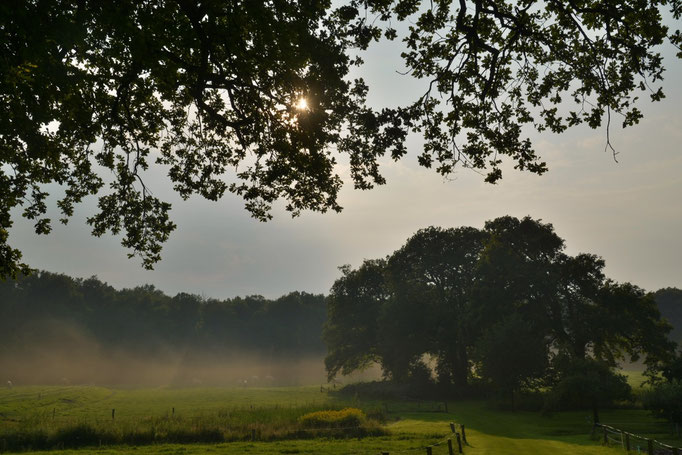 Duivendal