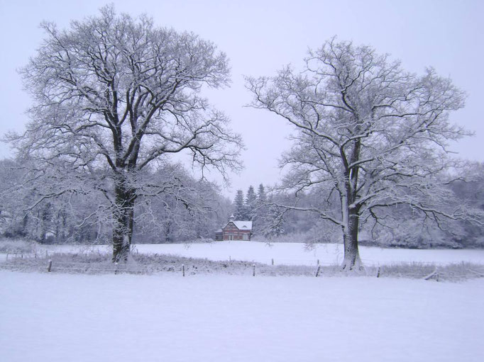 Duivendal