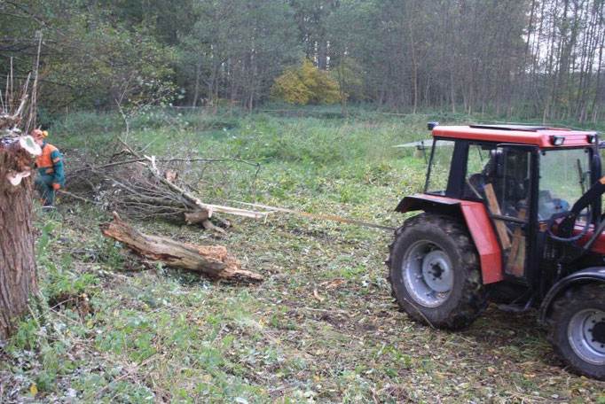 Wegschleppen von Kopholz  Foto:NABU/Peter Jacobson