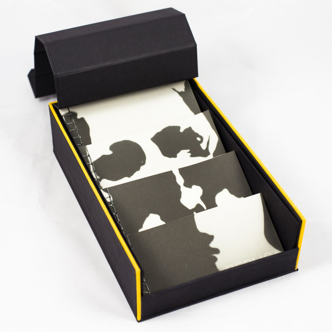 Kirsten Radermacher, Replica (2023): The roll-up