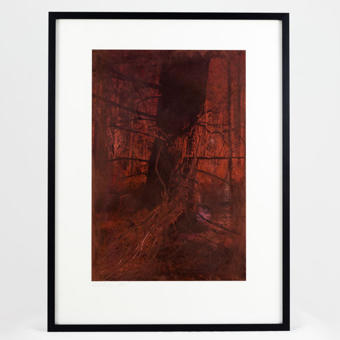 Kirsten Radermacher, Giftrot III #2, 2024, 300x400 mm, framed in museum quality (unique)