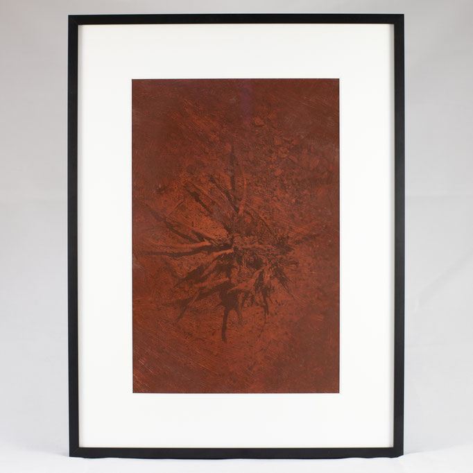 Kirsten Radermacher, Giftrot I #3, 2022, 300x400 mm, framed in museum quality (unique) (sold)