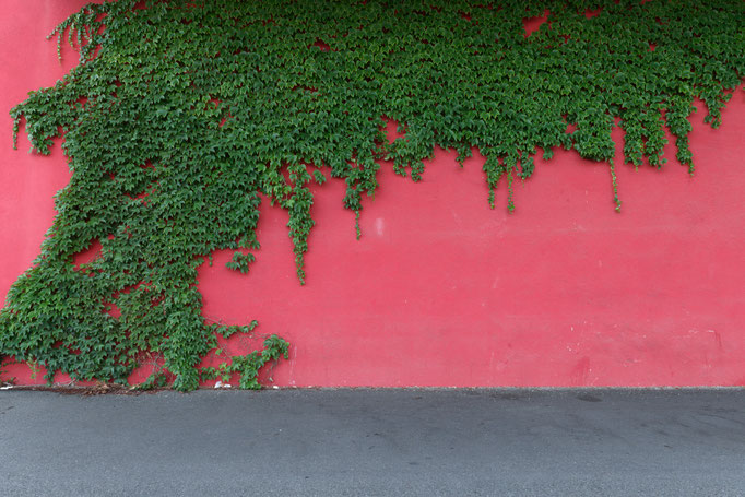 © Thomas Schleier