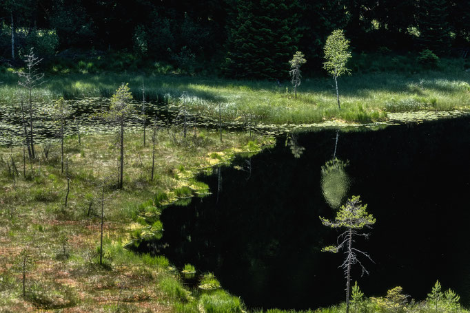 © Astrid Hansen