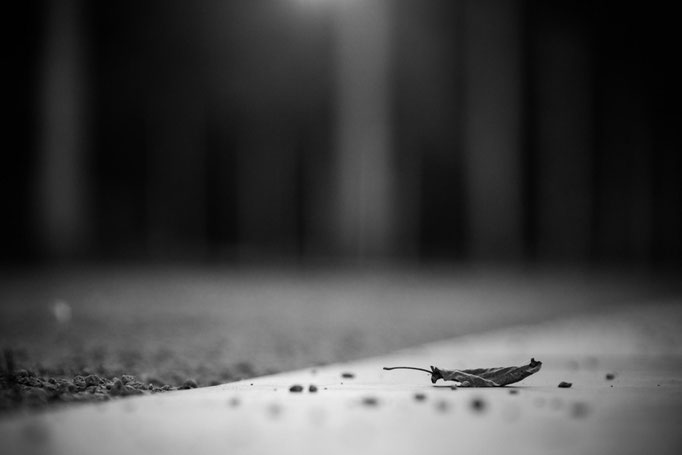 © Björn Blindt