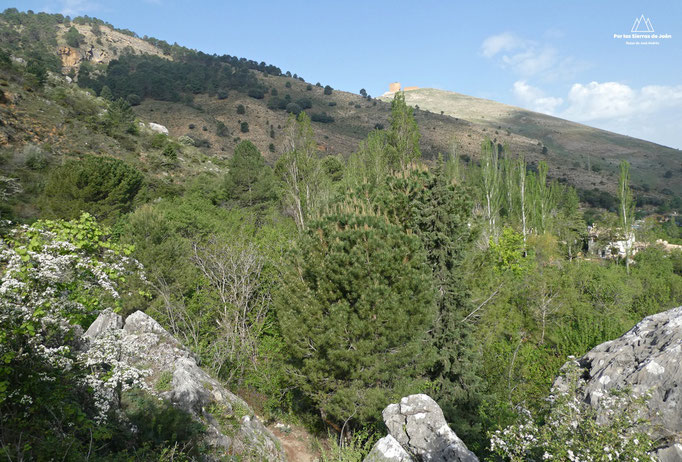 Cerro Salvatierra