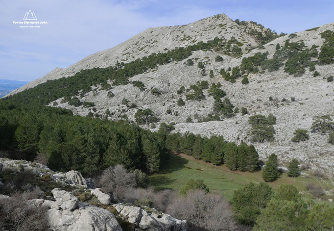 Barranco de la Cañada de Tíscar y de las Fuentes
