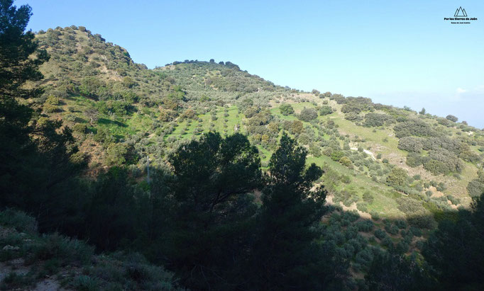 Zona de las Dehesillas "Loma del Castillo"
