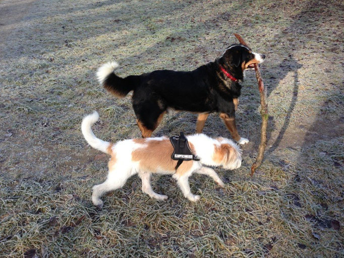 Freunde!