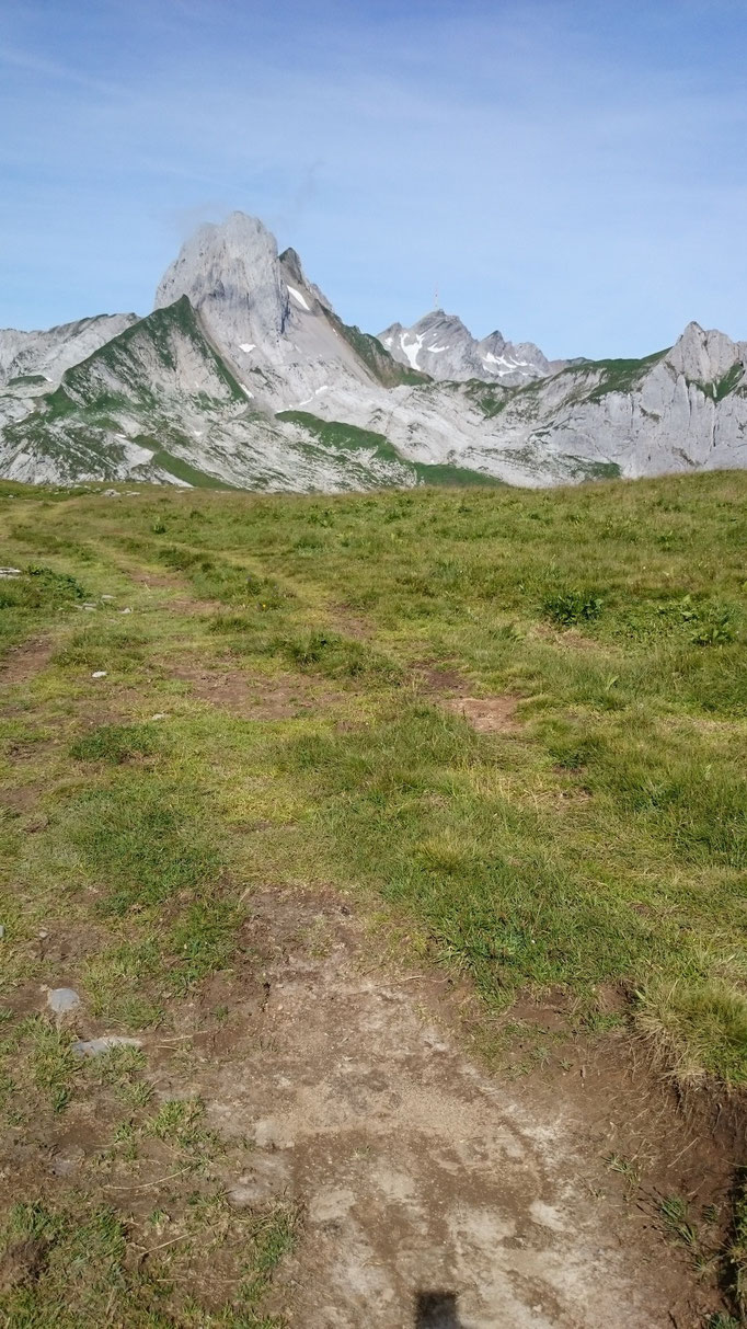 Tolle Aussicht mit Säntis im Hintergrund