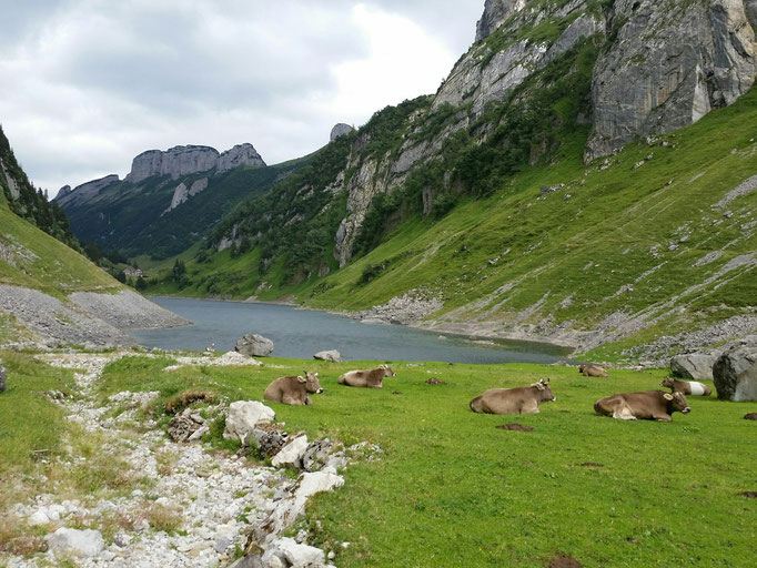 Fälensee