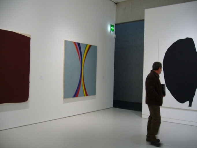 2007 Hommage à Jean Fournier Serge Fauchier Musée Fabre à Montpellier