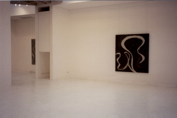 Serge Fauchier Galerie Jean Fournier 1991