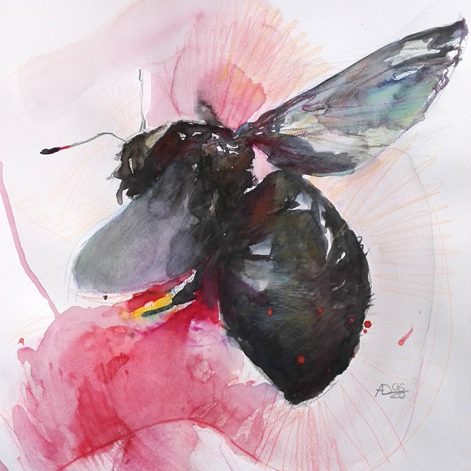 The fly 06/20 30X40CM