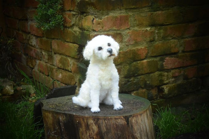 handgefilztes Hundeportrait weißer Hund sitzend aus Wolle