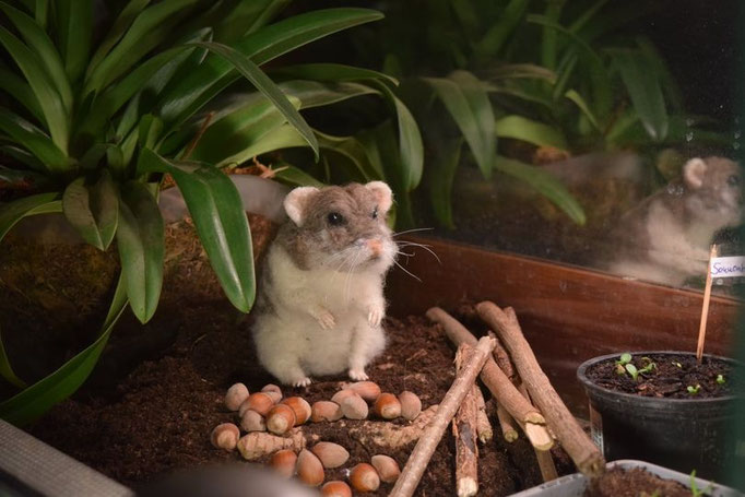 handgefilztes Hamsterportrait mit Nüssen