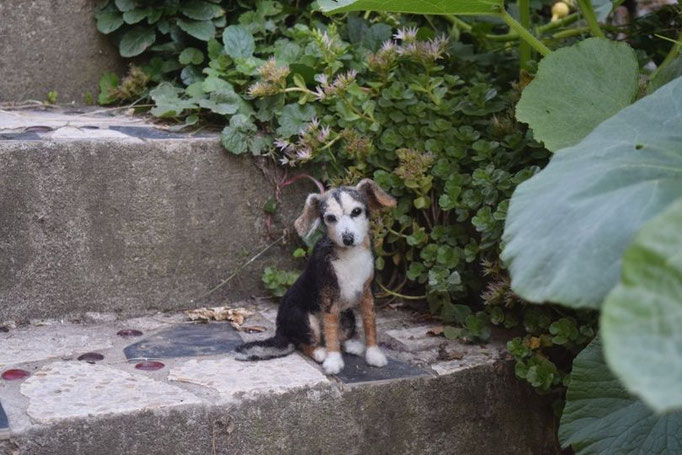 handgefilztes Hundeportrait aus Wolle auf Naturstein
