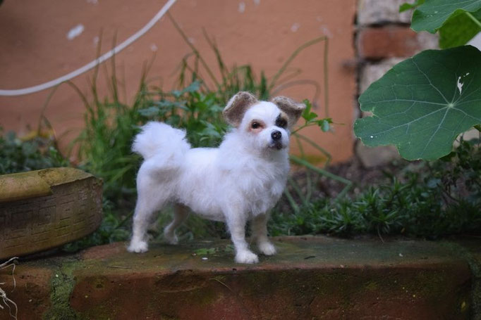 realistisches Hundeportrait aus Wolle handgefilzt im Garten