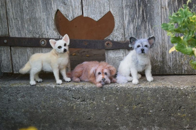 handgefilztes Hundeportrait liegend im Garten aus Wolle