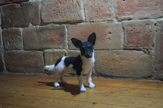 handgefilztes Hundeportrait aus Wolle vor Steinwand fotografiert