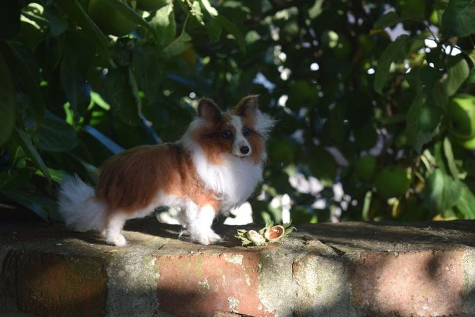 handgefilztes Hundeportrait aus Wolle im Garten fotografiert